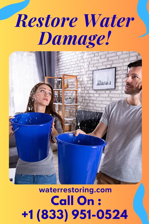 water restoration Ultimate Water Cleanup Inc Kemp Mill