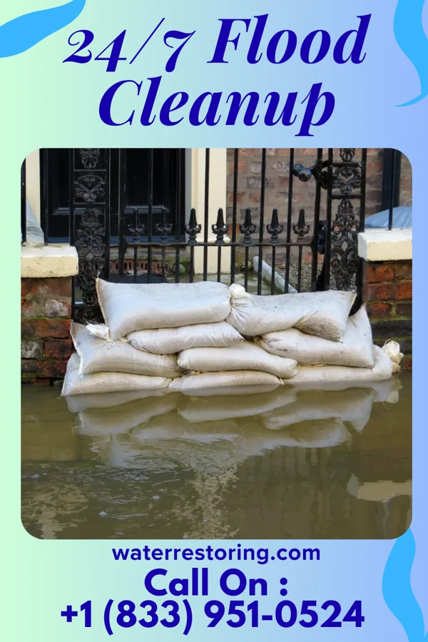 24/7 Flood Cleanup in Kemp Mill, MD