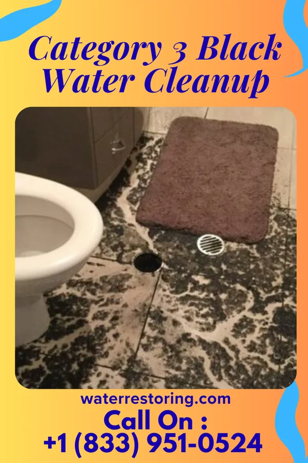 Category 3 Black Water Cleanup in Kemp Mill, MD