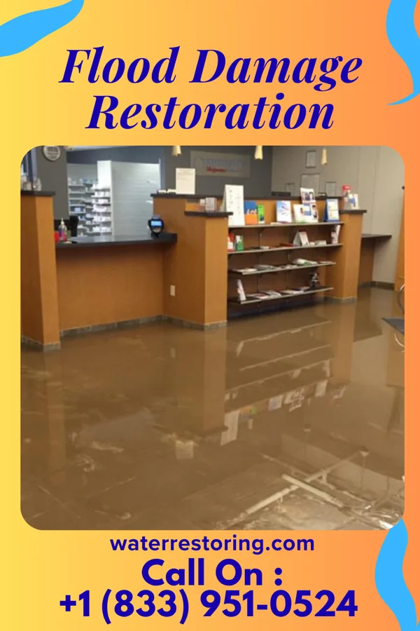 Flood Damage Restoration in Kemp Mill, MD